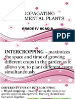 Propagating Ornamental Plants: Grade Iv Acacia