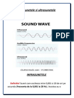 Infrasunetele Si Ultrasunetele