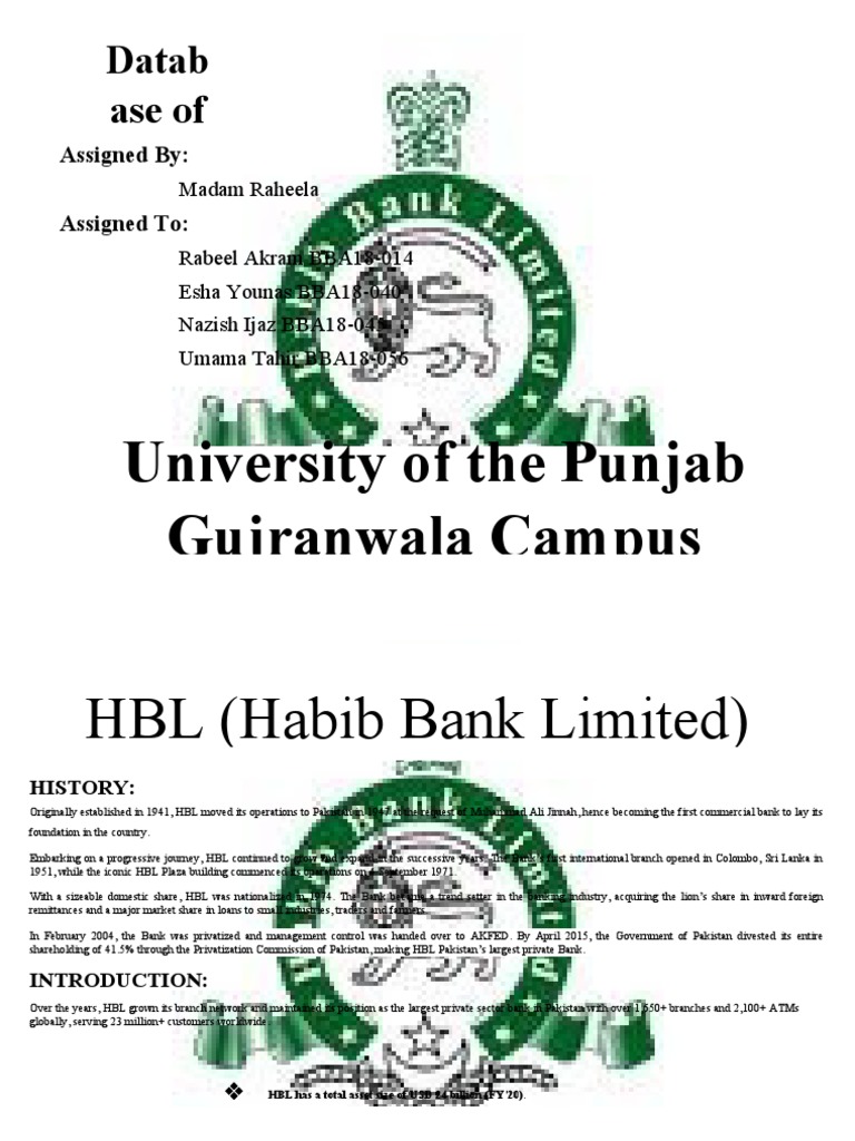 HBL Management System Overview | PDF | Banks | Service Industries