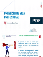 Diapositivas de Proyecto de Vida Profesional