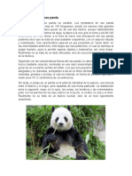 Características Del Oso Panda