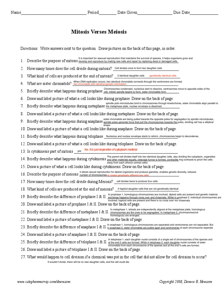 mitosis-meiosis-compared-pdf-meiosis-mitosis