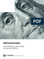 E-Book WDO - 2021terra Investimentos