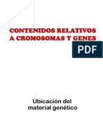 PPT CROMOSOMAS Y GENES
