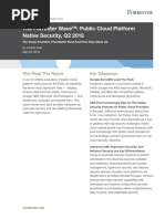 The Forrester Wave Public Cloud Platform Native Security Q2 2018