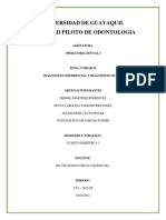 Diagnostico Diferencia e ICDAS