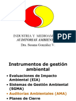 06 - Gestión Ambiental - Auditorías Ambientales