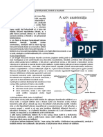 01a - Okj54 Gyakorló Ápoló - Doc Verziószám - 1