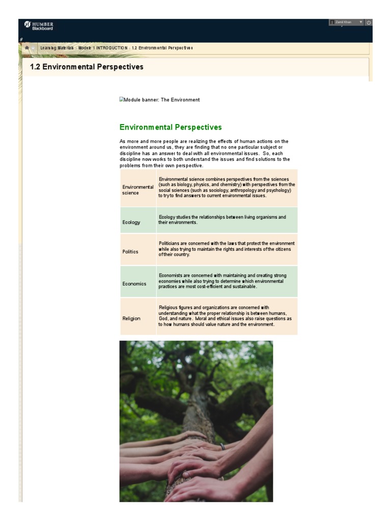 Understanding Environmental Perspectives | PDF | Natural Environment ...