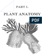 Plant Anatomy Booklet