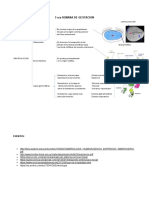 3 Era SEMANA DE GESTACION