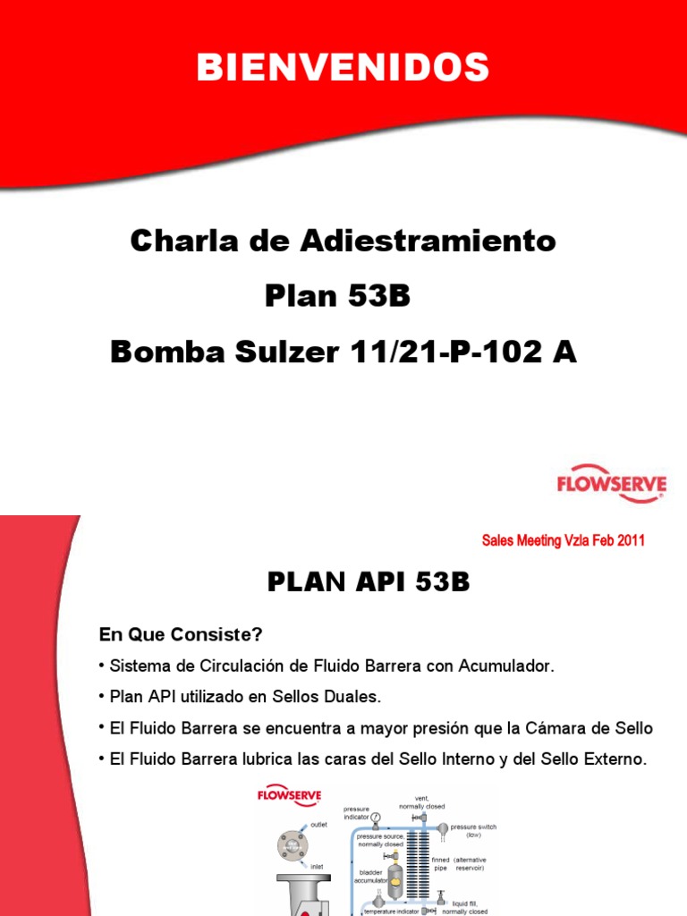 Operación y Verificación del Plan API 53B | PDF | Bomba | Presión