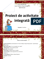 2_proiect_inspectie (1)