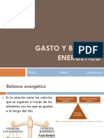 Gasto y Balance Energetico