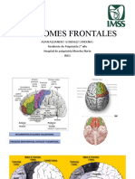 Sindromes Frontales