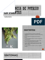 Deficiencia de Potasio en Plantas