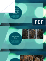 Infografia Final Polinización Artificial en Palma de Aceite