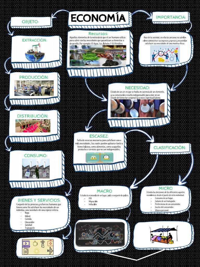 Organizador Grafico de Economia | PDF | Consumo (economía) | Capitalismo