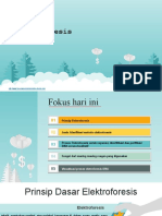 Proses Elektroforesis