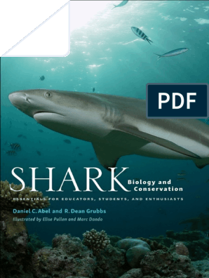 Shark Biology and Conservation, PDF, Sharks