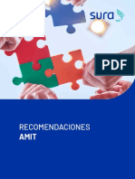 Recomendaciones Amit