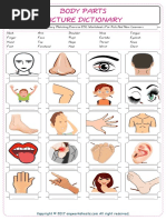Human Body Parts: Names & Images | PDF | Hand | Limbs (Anatomy)