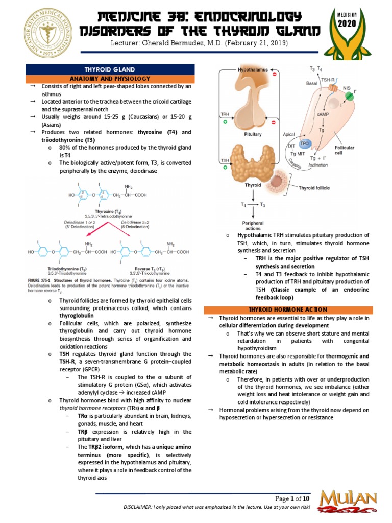 Thyroid Gland Disorders Overview | PDF | Hypothyroidism | Hyperthyroidism