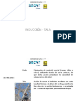 Capacitación 3 Consorcio Rutas 2 y 7 Tala y Poda