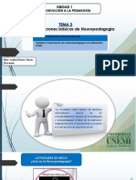 Conceptualizaciones Básicas de Neuropedagogía: Tema 2