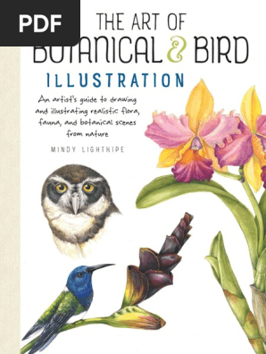 The Art of Botanical & Bird Illustration_ an Artist’s Guide to Drawing and Illustrating Realistic Flora, Fauna, And Botanical Scenes From Nature - PDF Room
