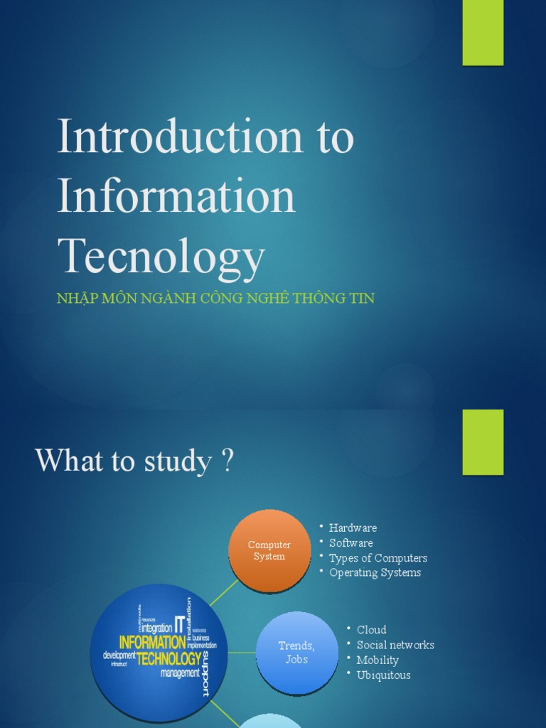 Introduction to Information Technology | PDF