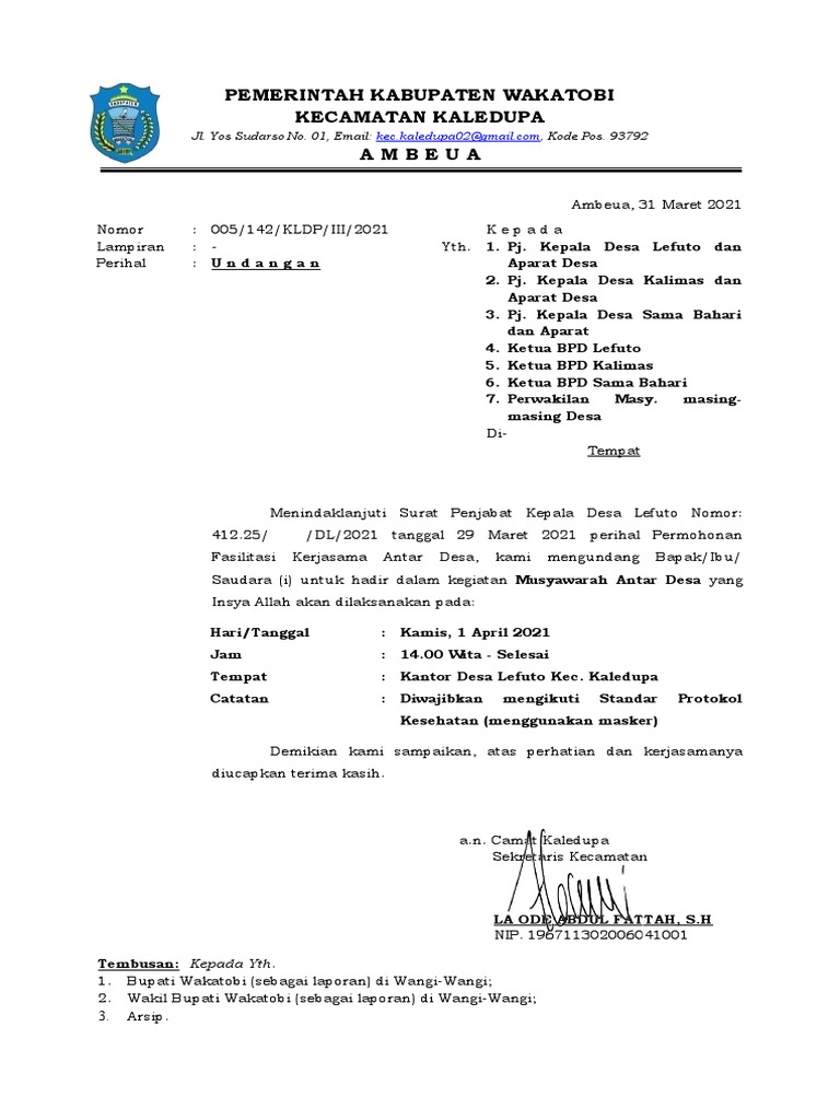 Mashhur mushuklar katta formatda