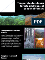 Temperate Deciduous Forests and Tropical Seasonal Forests