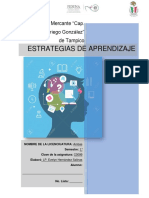 Estrategias de Aprendizaje: Escuela Náutica Mercante "Cap. Alt. Luis Gonzaga Priego González" de Tampico