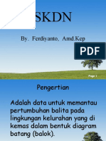 SKDN ANALISIS