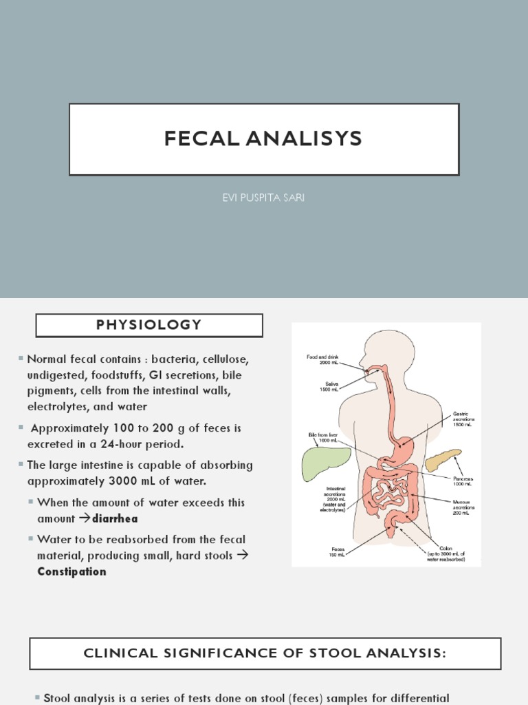 Fecal Analisys: Evi Puspita Sari | PDF | Human Feces | Feces