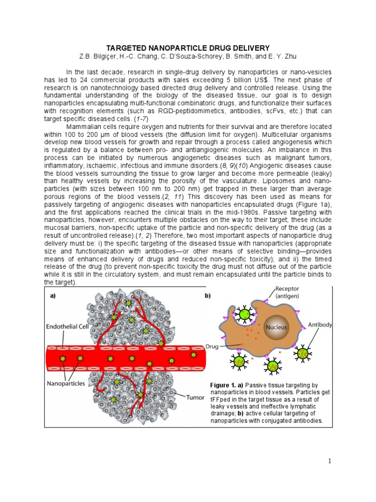 Nano Particle Drug Delivery | PDF | Lipid Bilayer | Angiogenesis