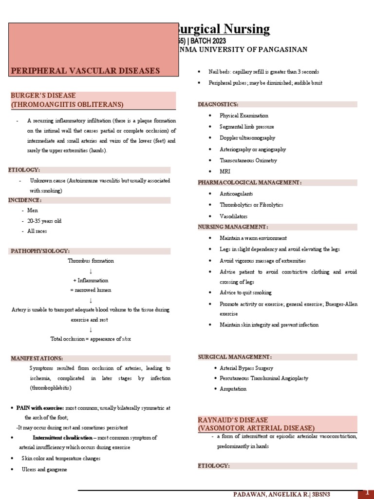 Peripheral Vascular Diseases Overview | PDF | Blood Vessel ...