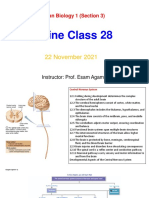 Online Class 28: Human Biology 1 (Section 3)