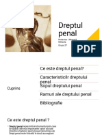 Dreptul Penal