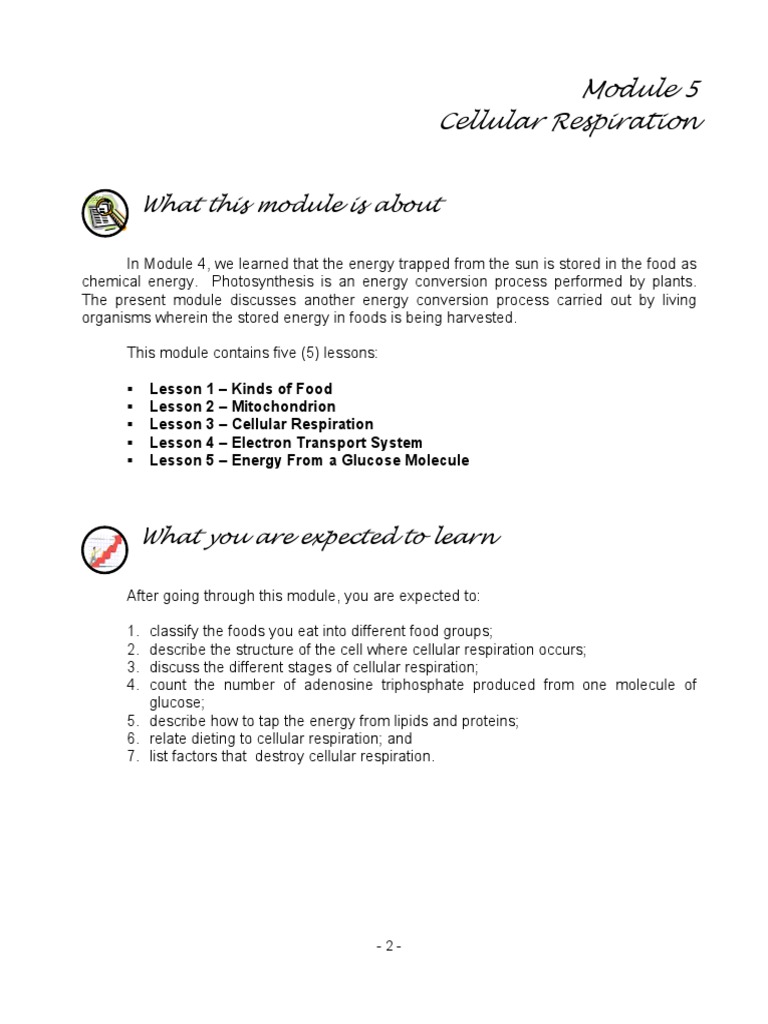 What This Module Is About: Cellular Respiration | PDF | Cellular ...
