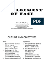 3 Development of Face