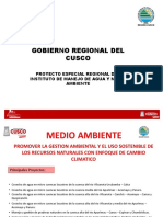 Diapositivas Per Ima Audiencia p. 2019