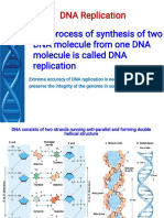 DNA Replication