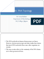 DNA, RNA Topology