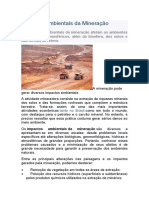 Impactos Ambientais Da Mineração - Vale