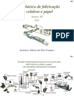 2011 Fabricacao Celulose Papel - SLIDE