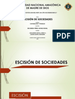 Escisión de Sociedades