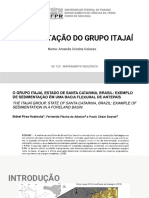 Sedimentação Do Grupo Itajaí