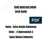 Laporan Hasil Observasi Pohon Jeruk Manis